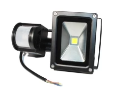 Прожектор LED Energy Saving, 6500K, 220V, Black, IP65 (RJ-G-10W)