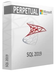 Microsoft SQL Server 2019 Standard Edition Commercial, Perpetual (DG7GMGF0FKX9_0003)