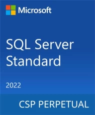 Microsoft SQL Server 2022 Standard Edition (DG7GMGF0M80J-0002)