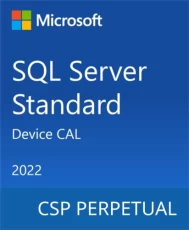 Microsoft SQL Server 2022 - 1 Device CAL (DG7GMGF0MF3T-0001)