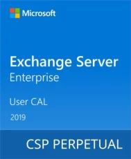 Microsoft Exchange Server Enterprise 2019 User CAL (DG7GMGF0F4MD-0004)