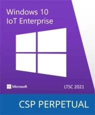 ПП Microsoft Windows 10 IoT Enterprise LTSC 2021 (DG7GMGF0H3RD-0002)