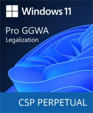 Microsoft Windows GGWA - Windows 11 Pro - Legalization Get Genuine (DG7GMGF0L4TL-0003)