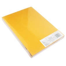Обкладинки для брошурування D&A Art Delta Color, A4, 230 мкм, оранжеві, 100 шт (1220101021600)