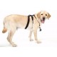 Держатель для экшн-камеры на собаку GoPro (ADOGM-001)