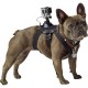 Тримач для екшн-камери на собаку GoPro (ADOGM-001)