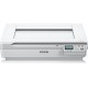 Сканер Epson WorkForce DS-50000N (B11B204131BT), White