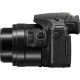 Фотоаппарат Panasonic Lumix DMC-FZ300 Black (DMC-FZ300EEK)
