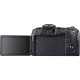 Зеркальный фотоаппарат Canon EOS R Body Black (3075C066)