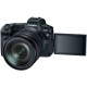 Дзеркальний фотоапарат Canon EOS R + RF 24-105L + адаптер EF-RF Black (3075C060)