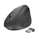 Мышь беспроводная Trust Orbo Compact Ergonomic, Black, оптическая, 800/1200/1600 dpi (23002)