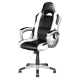 Игровое кресло Trust GXT 705W Ryon Gaming Chair, White/Black (23205)