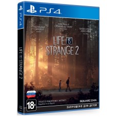 Гра для PS4. Life is Strange 2