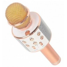 Мікрофон-колонка портативна 1.0 Aspor 858, Rose Gold