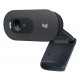 Веб-камера Logitech C505e HD, Black, 1280x720/30 fps, микрофон (960-001372)