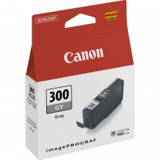 Картридж Canon PFI-300GY, Grey (4200C001)
