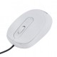 Мышь Gemix GM145, White, USB (GM145WH)