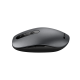 Мышь беспроводная Canyon MW-9, Dark Gray (CNS-CMSW09DG)