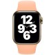 Ремешок для Apple Watch 40 мм, Apple Sport Band, Cantaloupe (MJK33ZM/A)