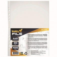 Файлы для документов, А4+, 30 мкм, глянец, 100 шт, ProFile (PF-1130-300603)