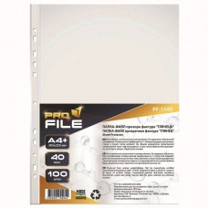 Файлы для документов, А4+, 40 мкм, глянец, 100 шт, ProFile (PF-1140-300602)