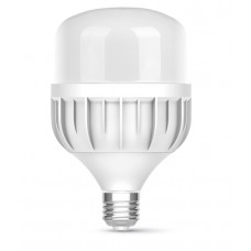 Лампа світлодіодна E27, 30 Вт, 6500K, A100, Titanum, 2700 Лм, 220V (TL-HA100-30276)