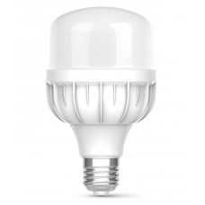 Лампа светодиодная E27, 20 Вт, 6500K, A80, Titanum, 1800 Лм, 220V (TL-HA80-20276)