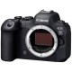 Дзеркальний фотоапарат Canon EOS R6 Mark II Body Black (5666C031)