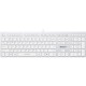 Клавиатура A4tech FX50 White, Fstyler Compact Size keyboard, USB