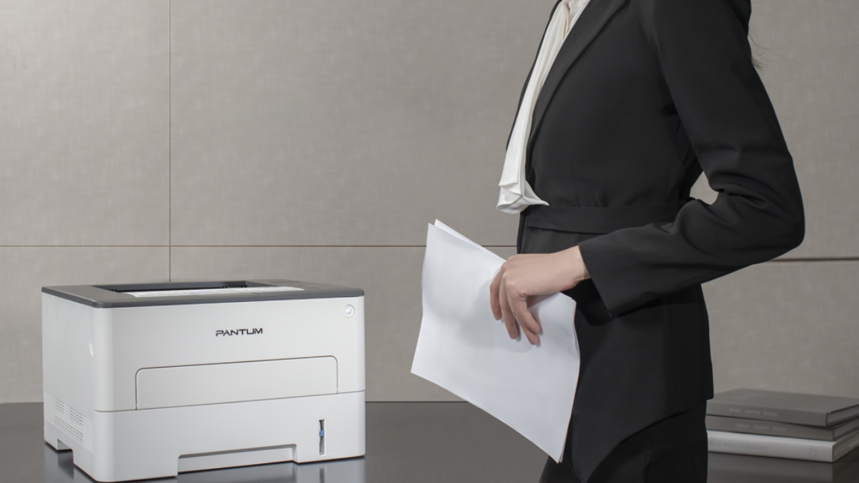 Pantum P3010D, White