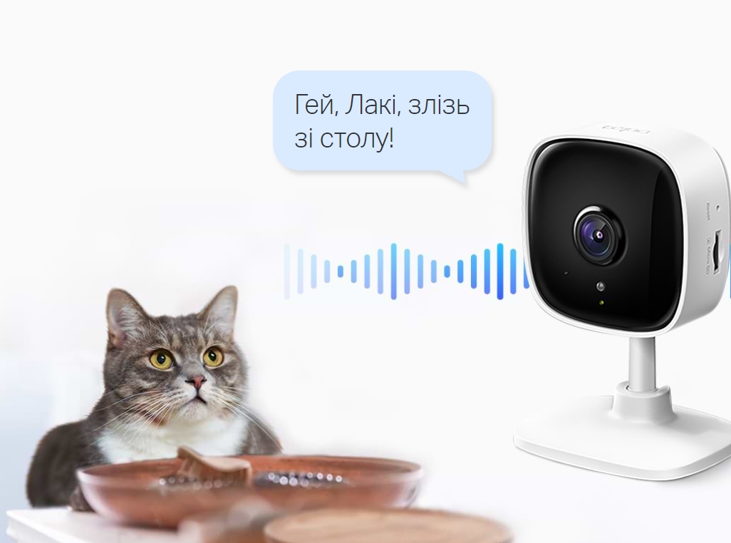 TP-Link Tapo C100, White